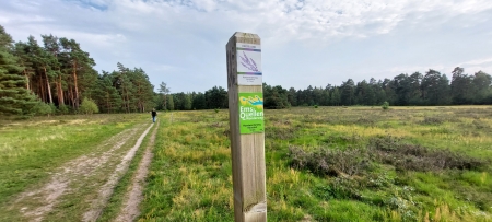 Nur auf gekennzeichneten und ausgewiesenen Wanderwegen darf im Naturschutzgebiet „Moosheide“ gewandert werden © Kreis Paderborn